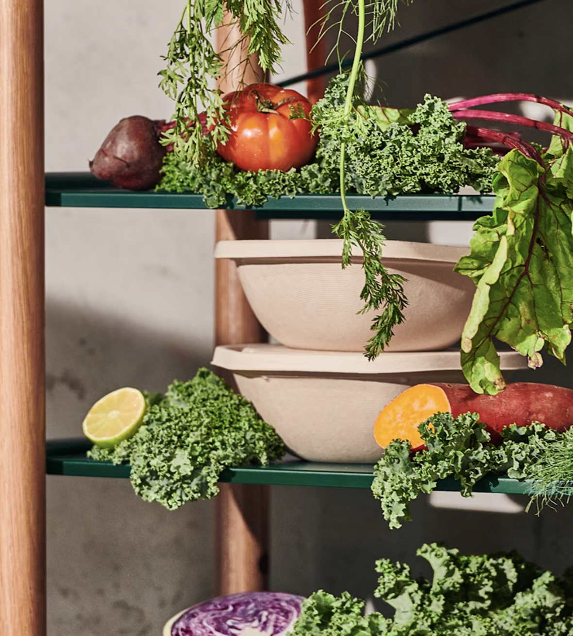 Forgot Password Hero